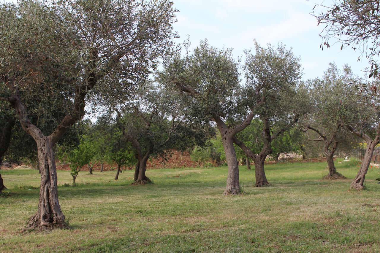 Antiche Dimore Terrarossa Αλμπερομπέλο Εξωτερικό φωτογραφία