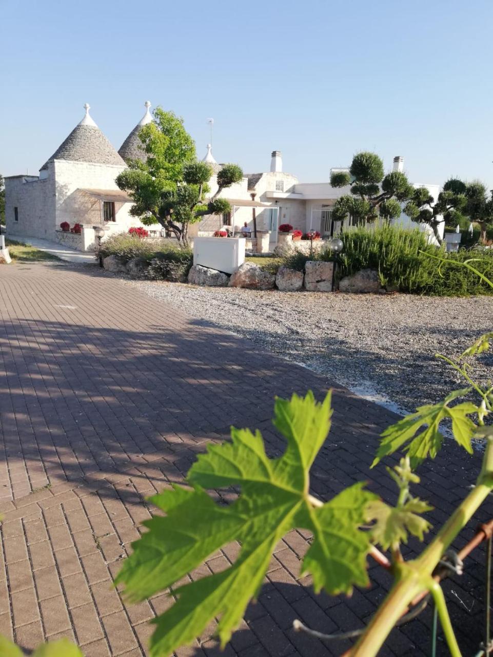 Antiche Dimore Terrarossa Αλμπερομπέλο Εξωτερικό φωτογραφία